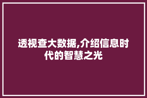 透视查大数据,介绍信息时代的智慧之光 必应SEO