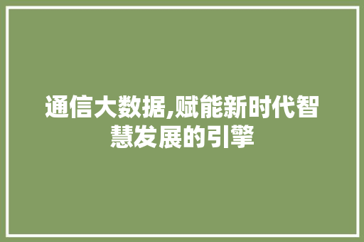通信大数据,赋能新时代智慧发展的引擎 百度SEO