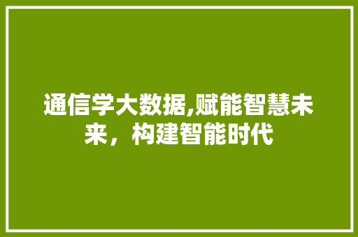 通信学大数据,赋能智慧未来，构建智能时代 百度SEO