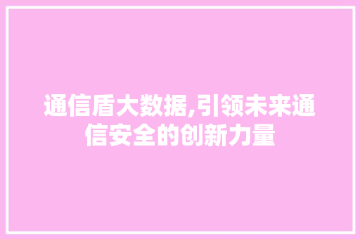 通信盾大数据,引领未来通信安全的创新力量 GoogleSEO