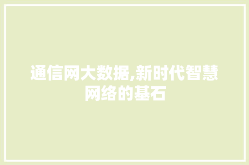 通信网大数据,新时代智慧网络的基石 GoogleSEO