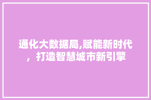 通化大数据局,赋能新时代，打造智慧城市新引擎 百度SEO
