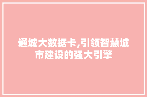 通城大数据卡,引领智慧城市建设的强大引擎 必应SEO