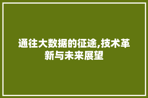 通往大数据的征途,技术革新与未来展望 百度SEO