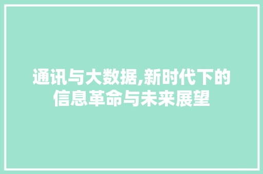 通讯与大数据,新时代下的信息革命与未来展望 GoogleSEO