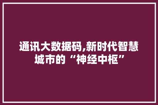 通讯大数据码,新时代智慧城市的“神经中枢” 必应SEO