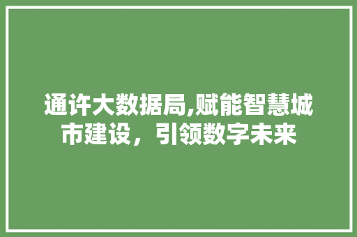通许大数据局,赋能智慧城市建设，引领数字未来 GoogleSEO
