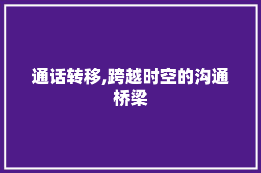 通话转移,跨越时空的沟通桥梁 神马SEO