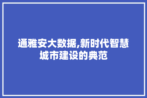 通雅安大数据,新时代智慧城市建设的典范 GoogleSEO