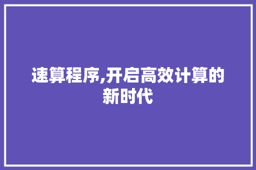 速算程序,开启高效计算的新时代