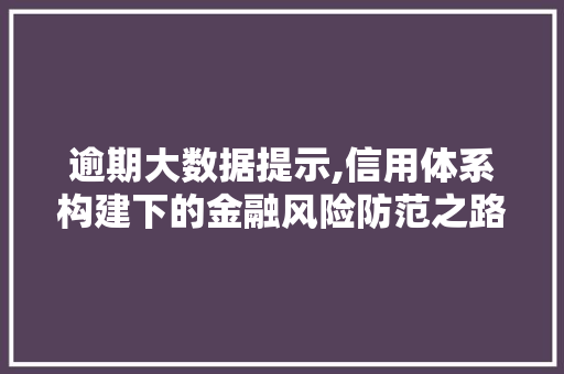 逾期大数据提示,信用体系构建下的金融风险防范之路 必应SEO