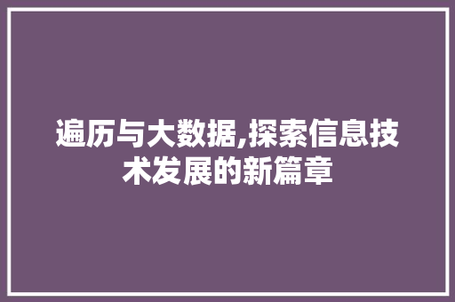 遍历与大数据,探索信息技术发展的新篇章 百度SEO
