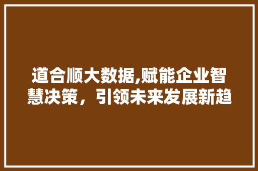 道合顺大数据,赋能企业智慧决策，引领未来发展新趋势