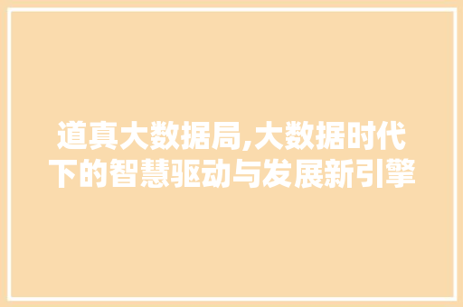 道真大数据局,大数据时代下的智慧驱动与发展新引擎
