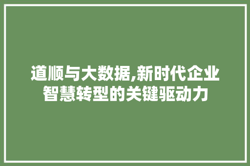 道顺与大数据,新时代企业智慧转型的关键驱动力 必应SEO