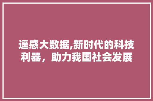 遥感大数据,新时代的科技利器，助力我国社会发展 神马SEO