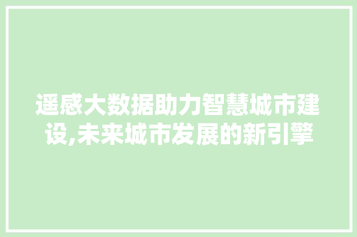 遥感大数据助力智慧城市建设,未来城市发展的新引擎 神马SEO