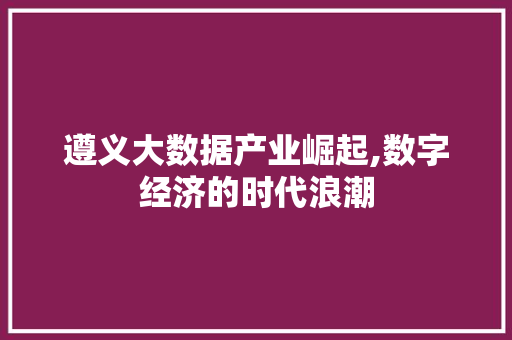 遵义大数据产业崛起,数字经济的时代浪潮 百度SEO