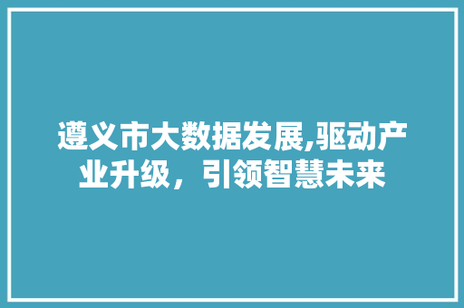 遵义市大数据发展,驱动产业升级，引领智慧未来 百度SEO