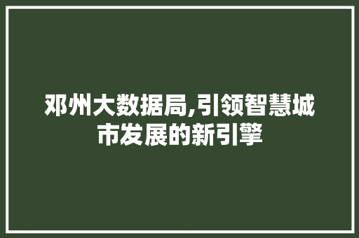 邓州大数据局,引领智慧城市发展的新引擎 神马SEO