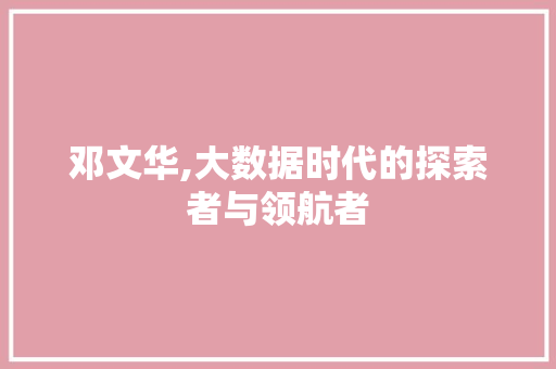 邓文华,大数据时代的探索者与领航者 必应SEO