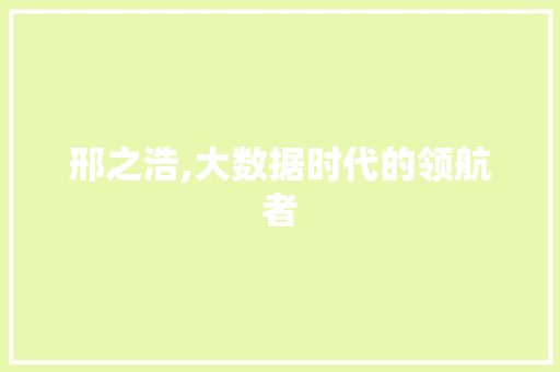 邢之浩,大数据时代的领航者 GoogleSEO