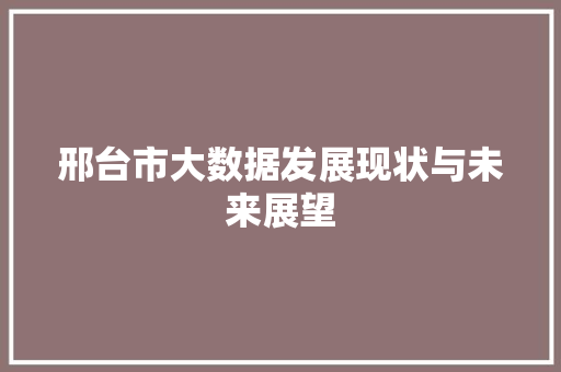 邢台市大数据发展现状与未来展望 GoogleSEO