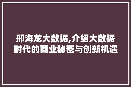 邢海龙大数据,介绍大数据时代的商业秘密与创新机遇 GoogleSEO