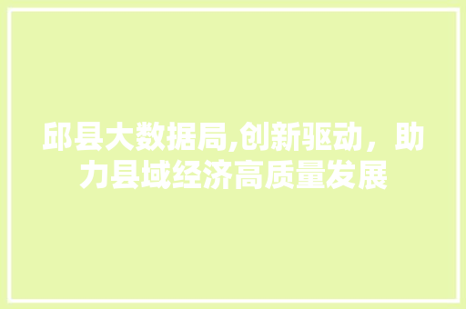 邱县大数据局,创新驱动，助力县域经济高质量发展 必应SEO