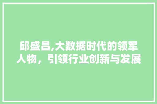 邱盛昌,大数据时代的领军人物，引领行业创新与发展 百度SEO