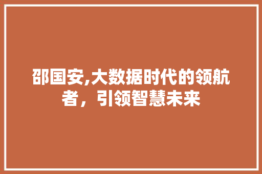 邵国安,大数据时代的领航者，引领智慧未来 必应SEO