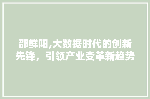 邵鲜阳,大数据时代的创新先锋，引领产业变革新趋势 GoogleSEO