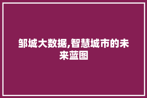 邹城大数据,智慧城市的未来蓝图 百度SEO