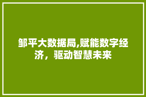 邹平大数据局,赋能数字经济，驱动智慧未来 百度SEO