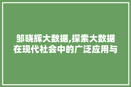 邹晓辉大数据,探索大数据在现代社会中的广泛应用与价值 必应SEO