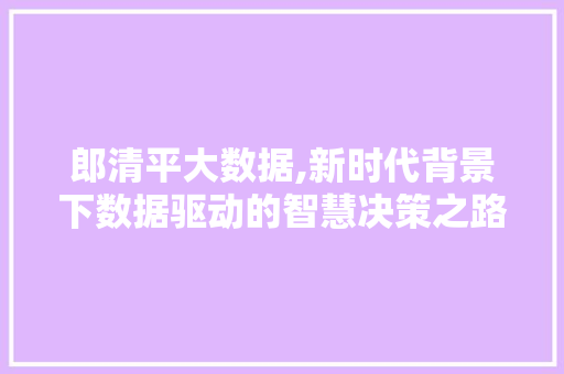 郎清平大数据,新时代背景下数据驱动的智慧决策之路 神马SEO