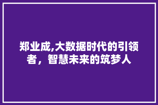 郑业成,大数据时代的引领者，智慧未来的筑梦人 神马SEO