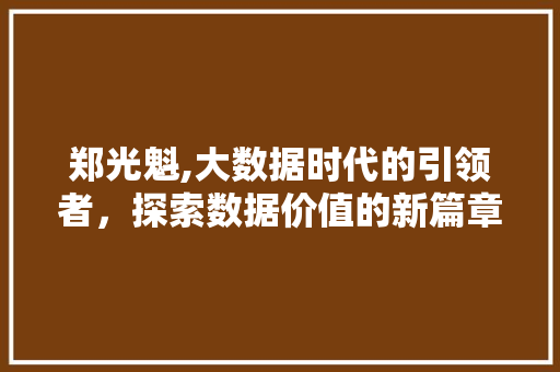 郑光魁,大数据时代的引领者，探索数据价值的新篇章 神马SEO