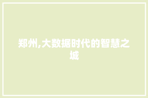 郑州,大数据时代的智慧之城 GoogleSEO