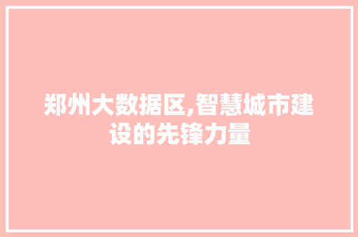 郑州大数据区,智慧城市建设的先锋力量 神马SEO