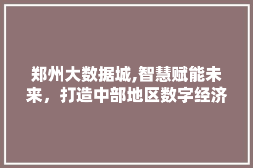 郑州大数据城,智慧赋能未来，打造中部地区数字经济新高地 GoogleSEO