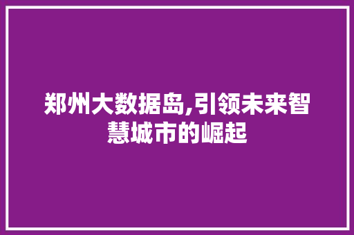 郑州大数据岛,引领未来智慧城市的崛起 神马SEO