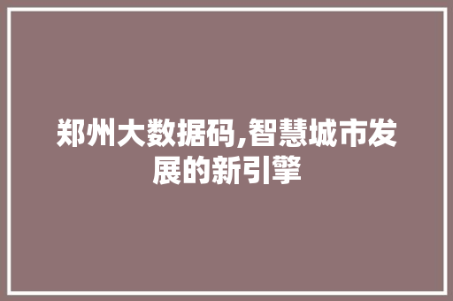 郑州大数据码,智慧城市发展的新引擎 百度SEO 郑州大数据码,智慧城市发展的新引擎 百度SEO