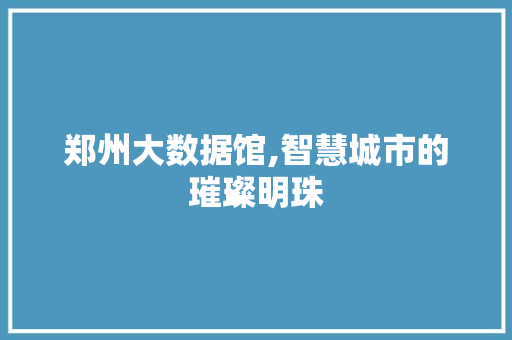 郑州大数据馆,智慧城市的璀璨明珠 GoogleSEO