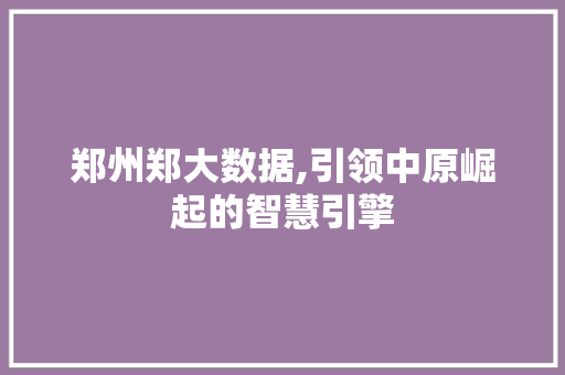 郑州郑大数据,引领中原崛起的智慧引擎 GoogleSEO