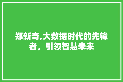 郑新奇,大数据时代的先锋者，引领智慧未来