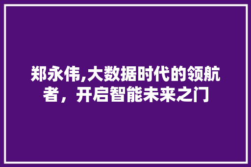 郑永伟,大数据时代的领航者，开启智能未来之门