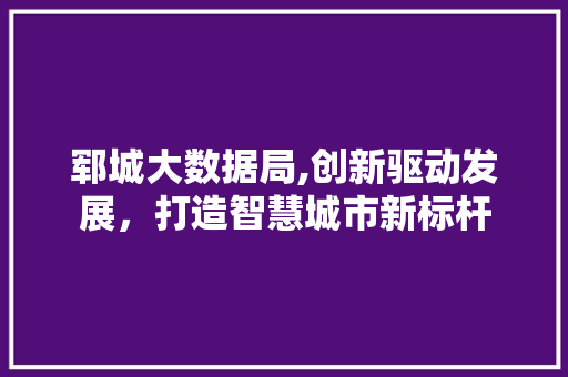 郓城大数据局,创新驱动发展，打造智慧城市新标杆