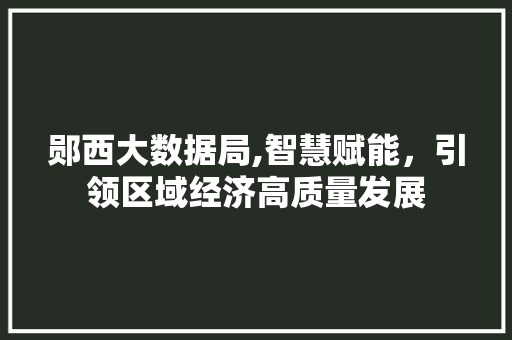 郧西大数据局,智慧赋能，引领区域经济高质量发展 搜狗SEO