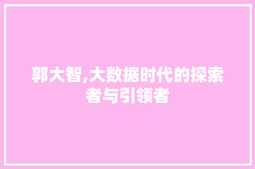 郭大智,大数据时代的探索者与引领者 GoogleSEO